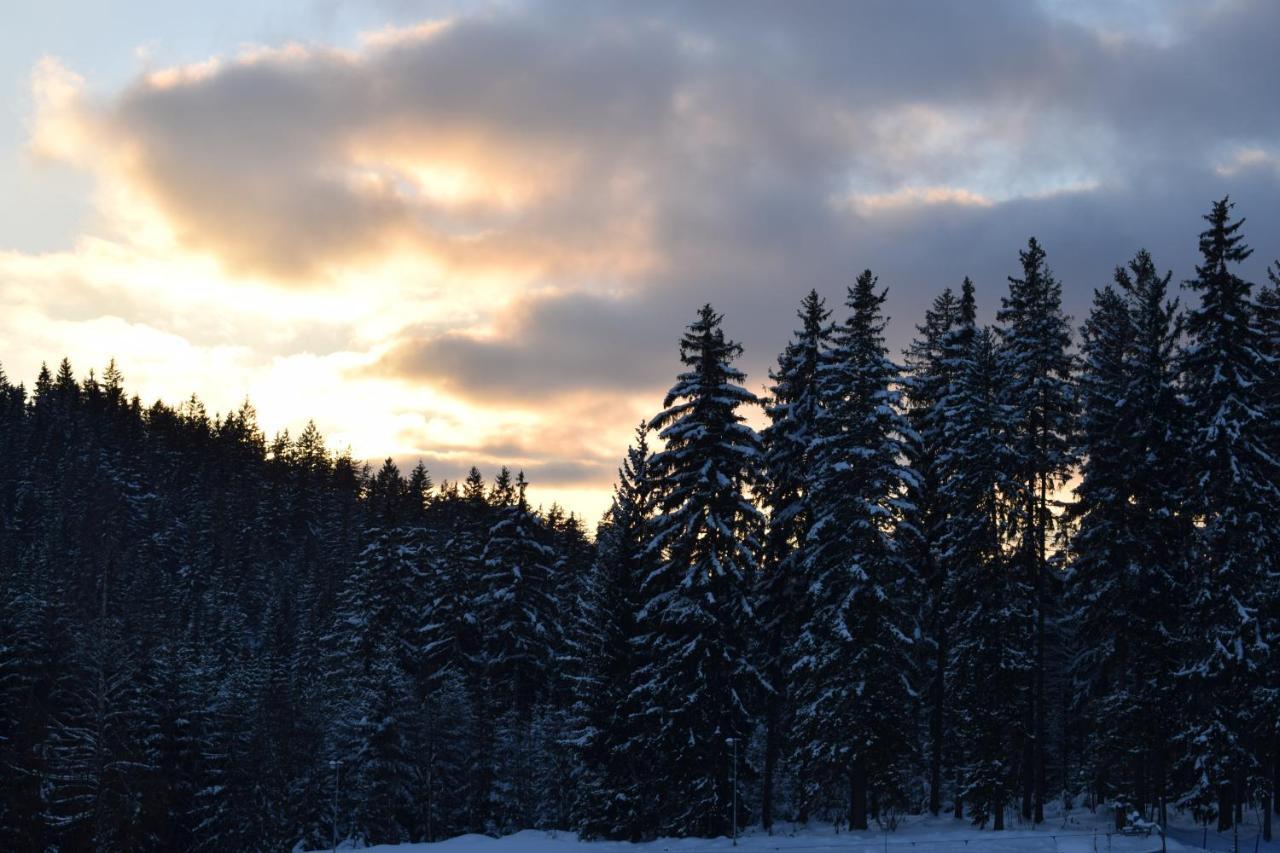 GRAND HARRACHOV PENSION v centru Exteriér fotografie