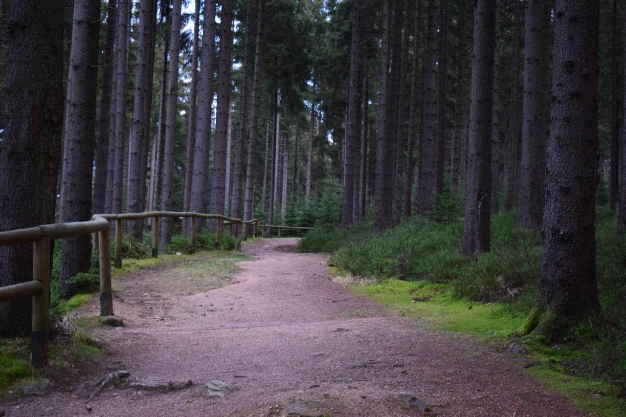 GRAND HARRACHOV PENSION v centru Exteriér fotografie
