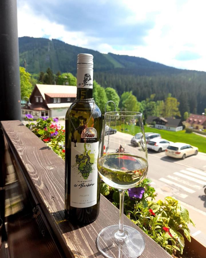 GRAND HARRACHOV PENSION v centru Exteriér fotografie